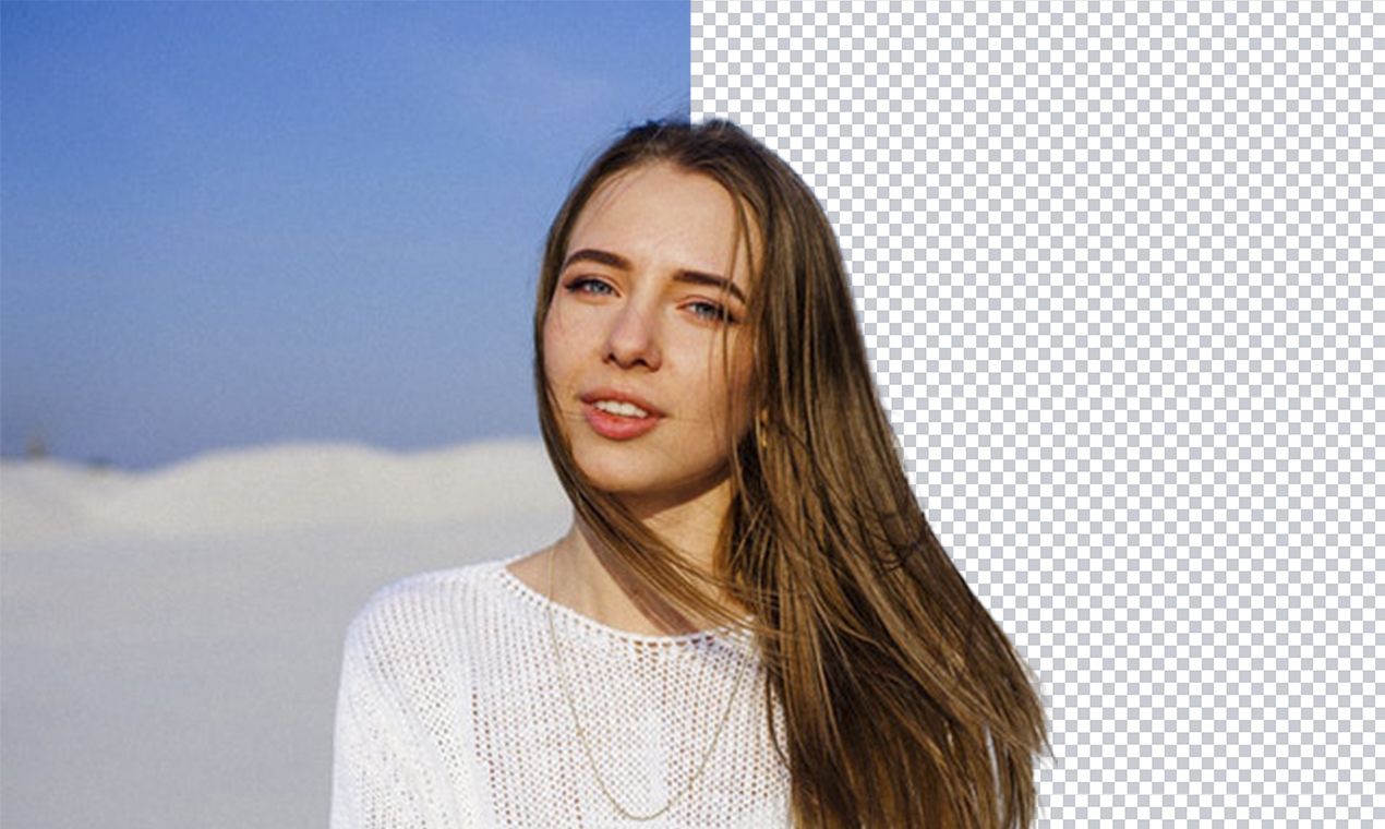Portrait BG Remover - MODNet