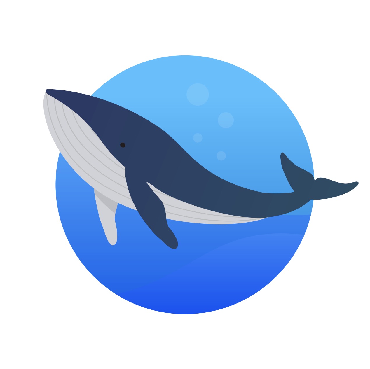 DeepSeek R1 1.5B