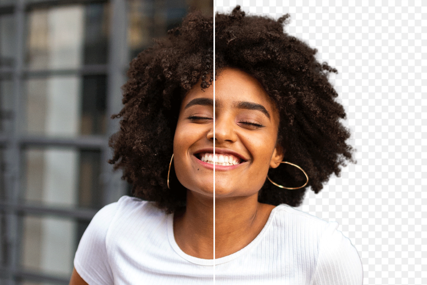 BG Remover - BEN2